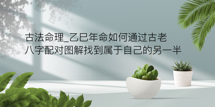 起名解名八字取名游戏截图