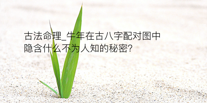 算八字起名游戏截图