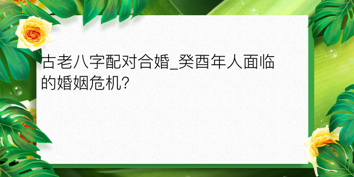 属猴的最佳婚配属相游戏截图