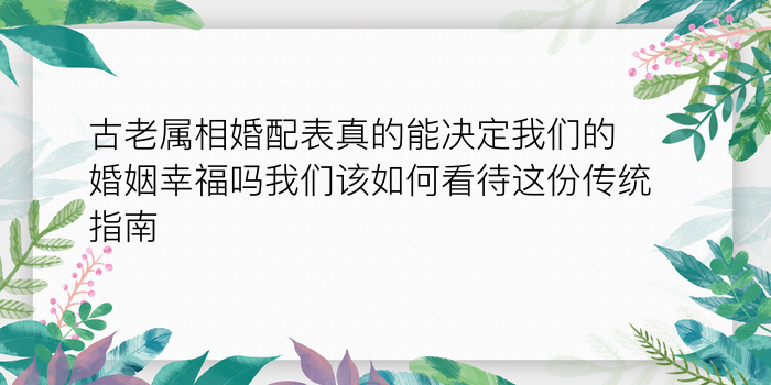 龙岩八字运程游戏截图