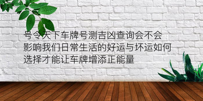 号令天下车牌号测吉凶查询会不会影响我们日常生活的好运与坏运如何选择才能让车牌增添正能量