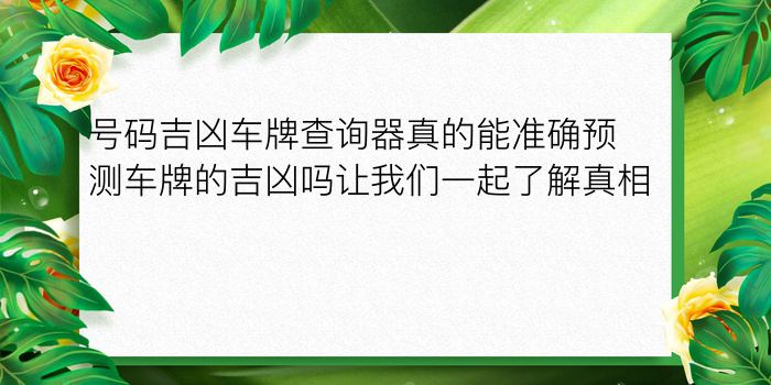 车牌号码测试吉凶游戏截图