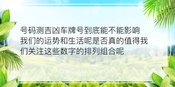 车牌号吉凶查询靠谱吗游戏截图