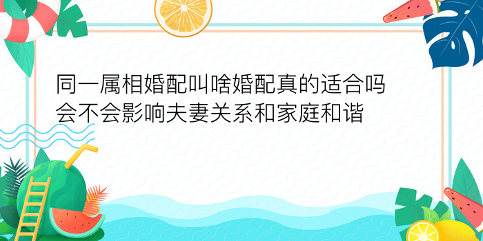 同一属相婚配叫啥婚配真的适合吗会不会影响夫妻关系和家庭和谐