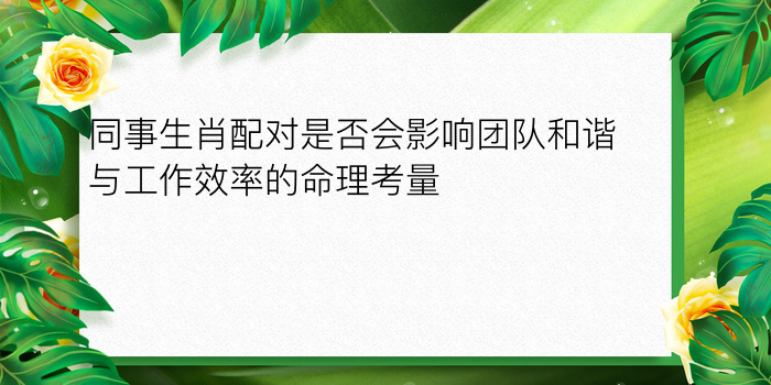 车牌车牌号码吉凶测试游戏截图