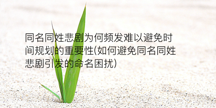 同名同姓网游戏截图