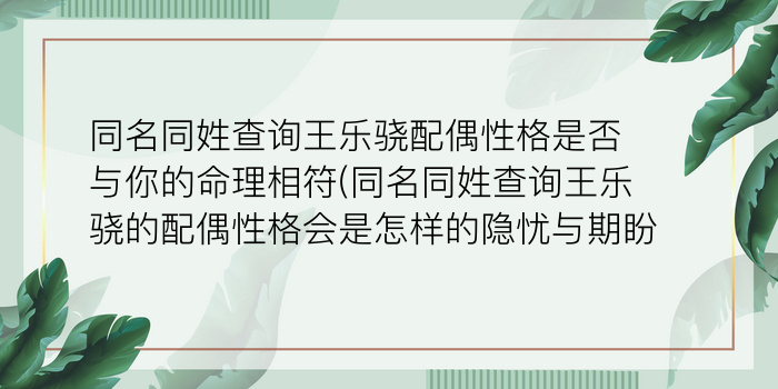 二零二算运网