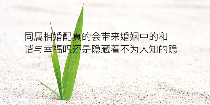 汽车牌子吉凶游戏截图