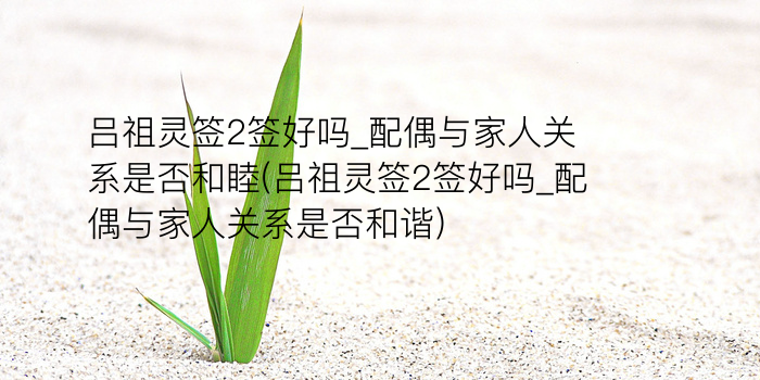 吕祖灵签阿启游戏截图