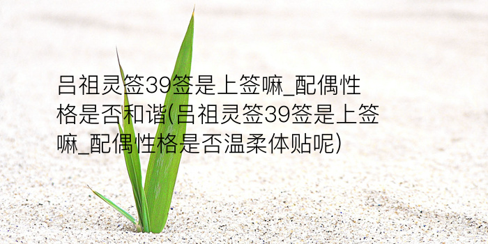 月老灵签38游戏截图