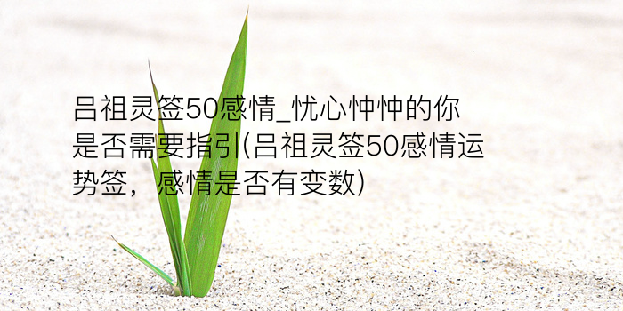 妈祖灵签解签大全慈母游戏截图