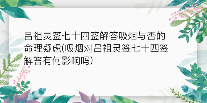 二零二算运网