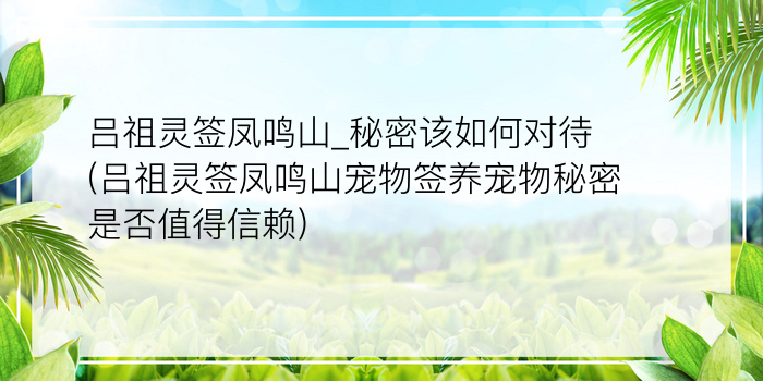 月老灵签姻54白话解释游戏截图