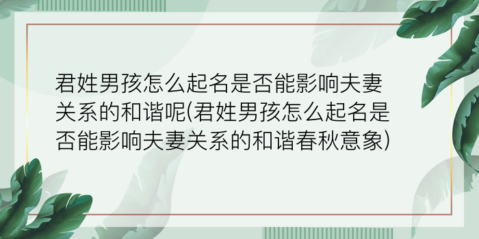 君姓男孩怎么起名是否能影响夫妻关系的和谐呢(君姓男孩怎么起名是否能影响夫妻关系的和谐春秋意象)