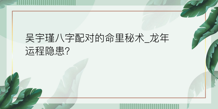 吴宇瑾八字配对的命里秘术_龙年运程隐患？