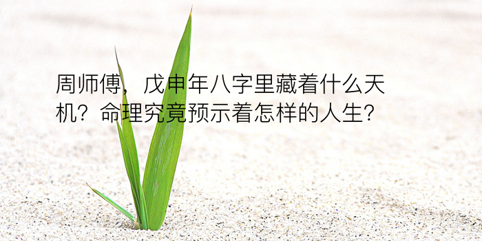 五行金八字游戏截图