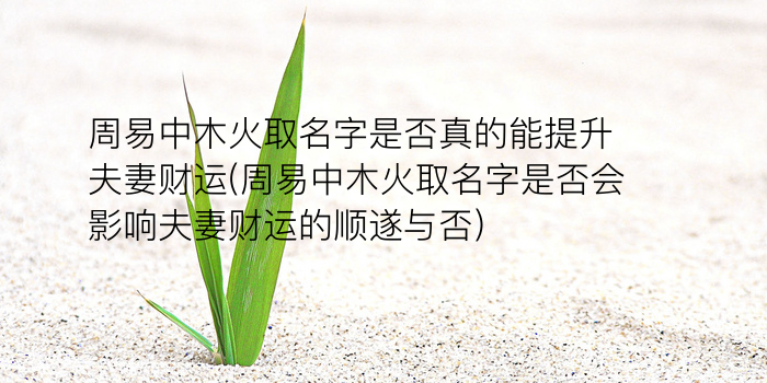 女孩起名两个字游戏截图