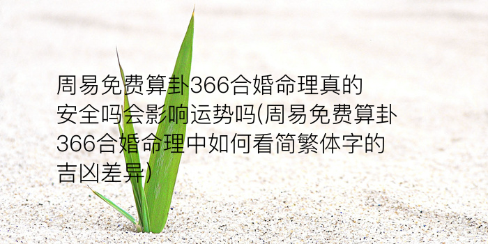 诸葛测字167解签游戏截图