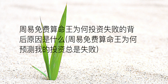 免费的八字算命游戏截图