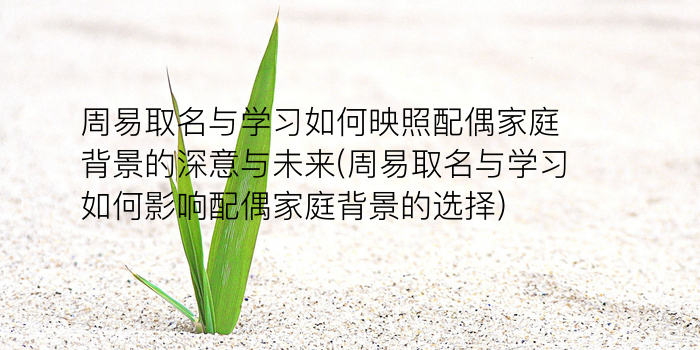 王男孩起名游戏截图