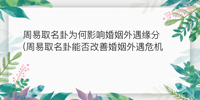 周易生辰八字取名网游戏截图