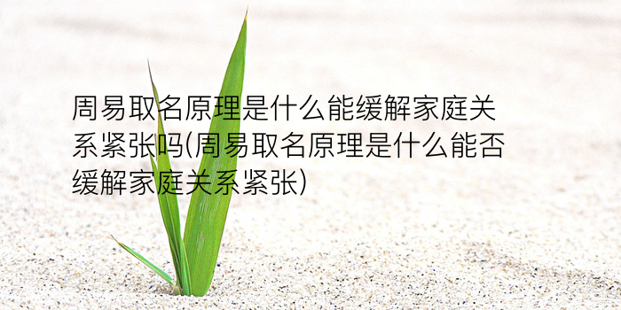 婚介公司起名游戏截图