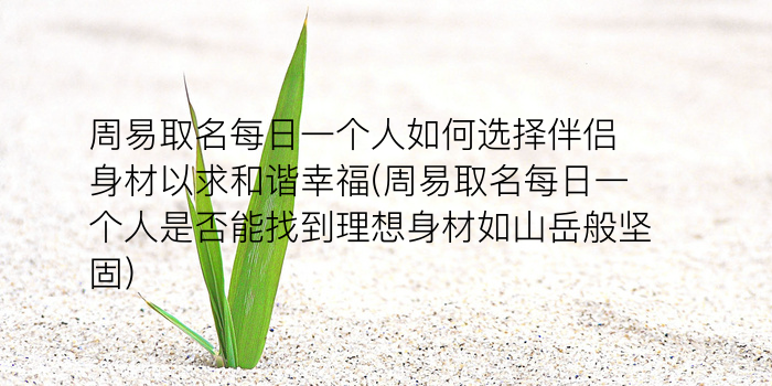 易经取名周易起名游戏截图