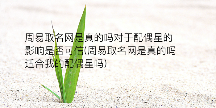 徐宝宝起名游戏截图