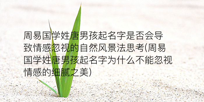 运输公司起名游戏截图