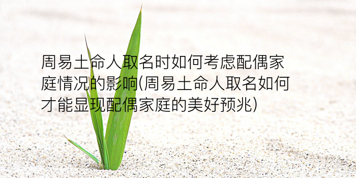 公司起名带水游戏截图