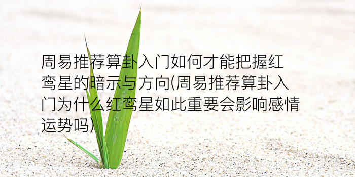 诸葛测字算命游戏截图