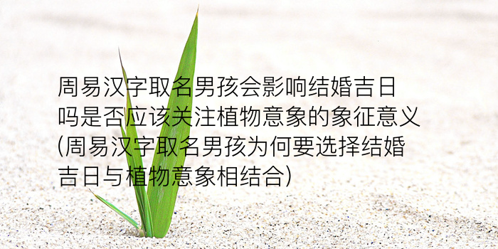 周易取名测名网游戏截图