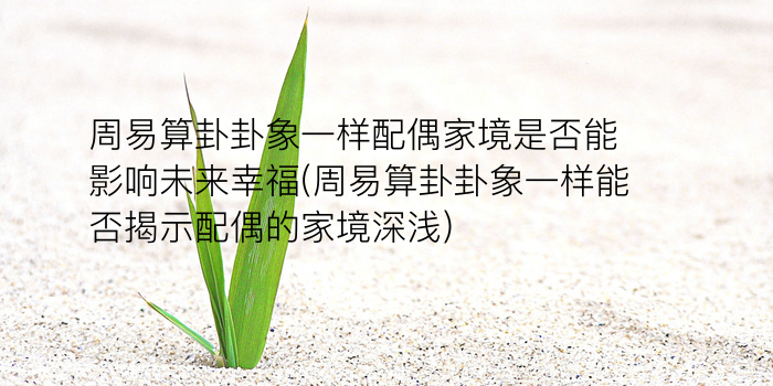 算卦属于周易吗游戏截图