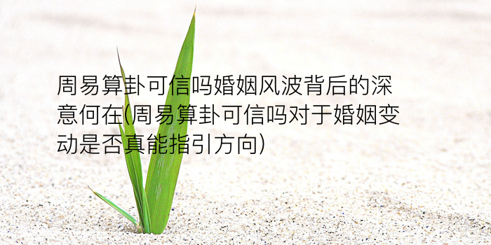 可测字游戏截图