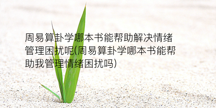 测字程游戏截图