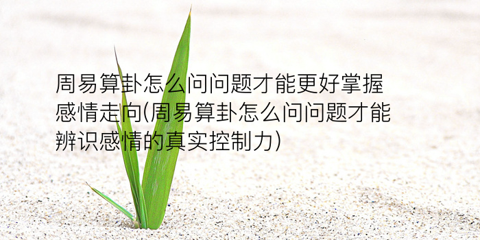 诸葛亮神算测字游戏截图