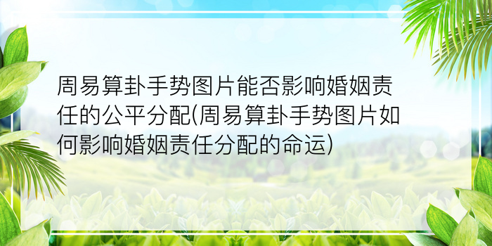 周易算卦手势图片能否影响婚姻责任的公平分配(周易算卦手势图片如何影响婚姻责任分配的命运)