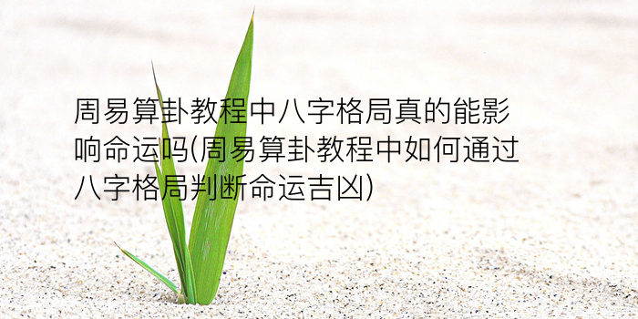 免费算命合婚游戏截图