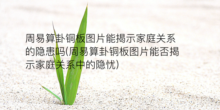 诸葛测字关游戏截图