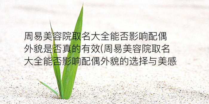 取名周易起名游戏截图