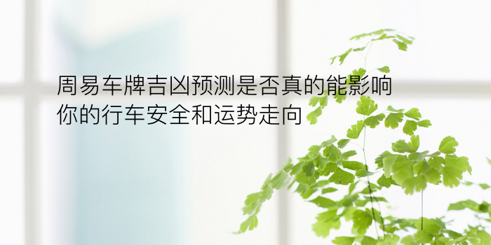 车牌带4吉凶游戏截图