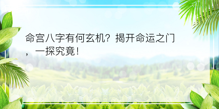 命宫八字有何玄机？揭开命运之门，一探究竟！