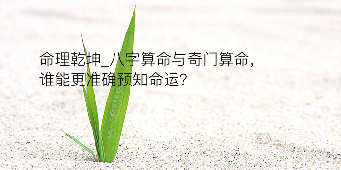 我的八字算命游戏截图