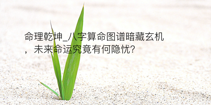 命理乾坤_八字算命图谱暗藏玄机，未来命运究竟有何隐忧？