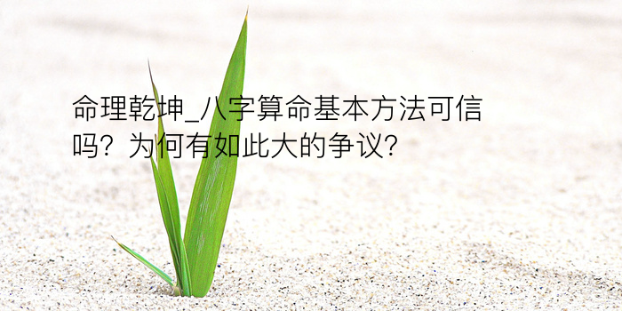 八字运程计算游戏截图