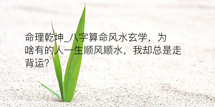 汉程网八字算命游戏截图