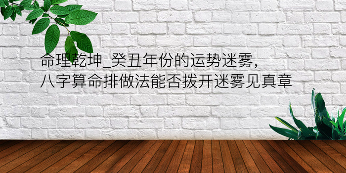 命理乾坤_癸丑年份的运势迷雾，八字算命排做法能否拨开迷雾见真章？