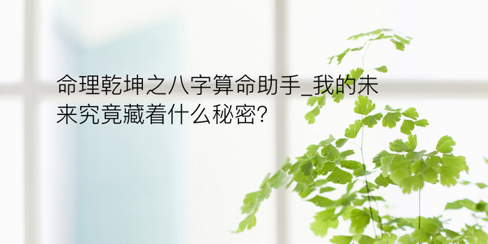 命理乾坤之八字算命助手_我的未来究竟藏着什么秘密？