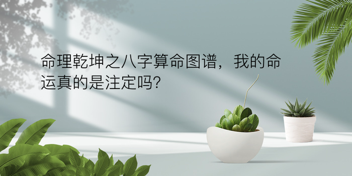 命理乾坤之八字算命图谱，我的命运真的是注定吗？