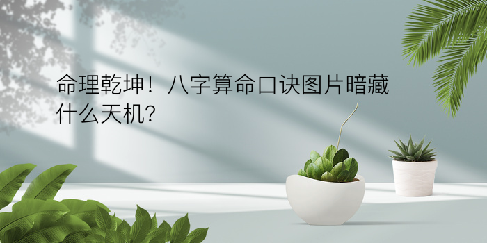 八字桃花算命游戏截图